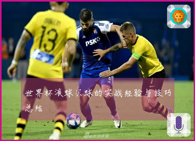 世界杯滚球买球的实战经验与技巧总结