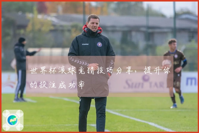世界杯滚球竞猜技巧分享，提升你的投注成功率