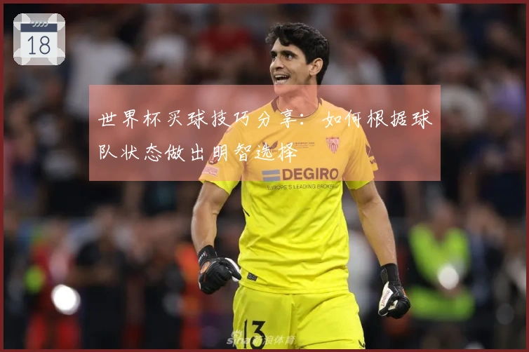 世界杯买球技巧分享：如何根据球队状态做出明智选择