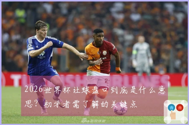 2026世界杯让球盘口到底是什么意思？初学者需了解的关键点
