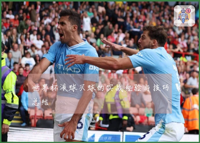 世界杯滚球买球的实战经验与技巧总结