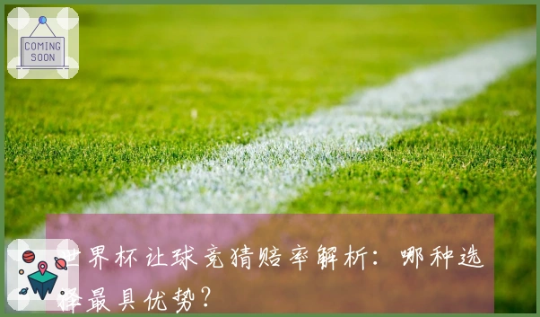 世界杯让球竞猜赔率解析：哪种选择最具优势？