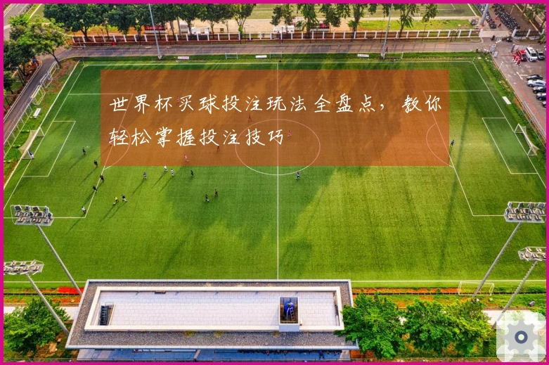 世界杯买球投注玩法全盘点，教你轻松掌握投注技巧